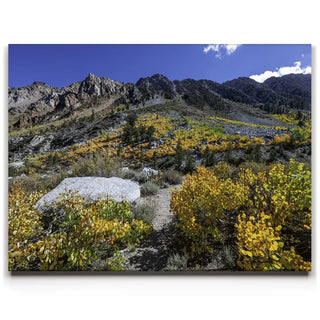 Sabrina Basin Bishop, CA