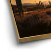 Thumbnail image 12 for Saguaro Sunrise - Tucson, Arizona