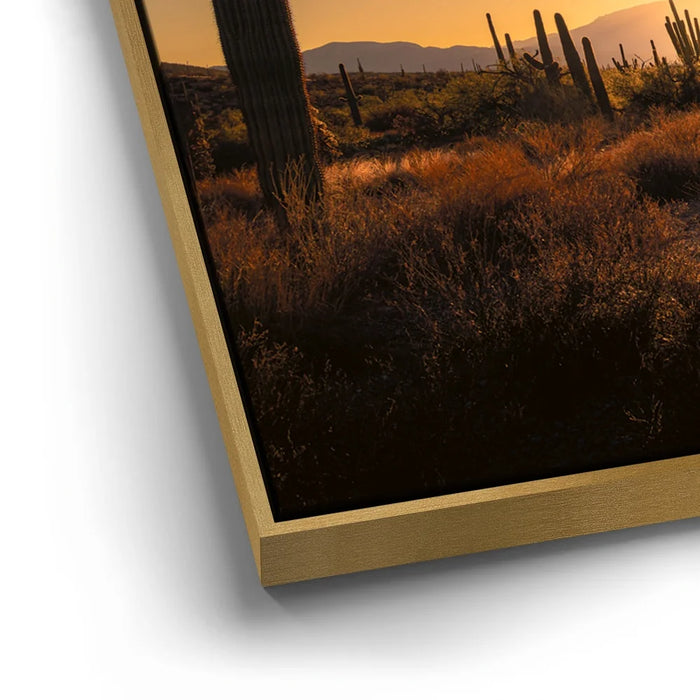 Featured image 12 for Saguaro Sunrise - Tucson, Arizona