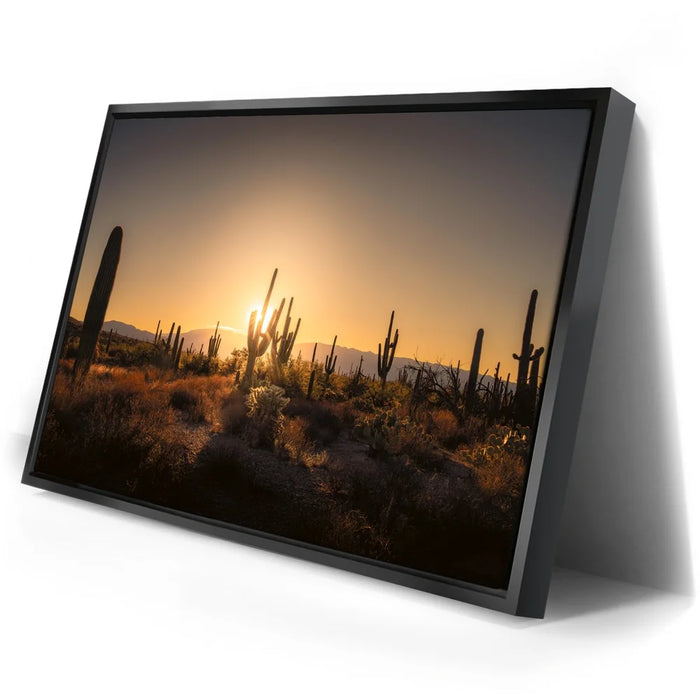 Featured image 2 for Saguaro Sunrise - Tucson, Arizona