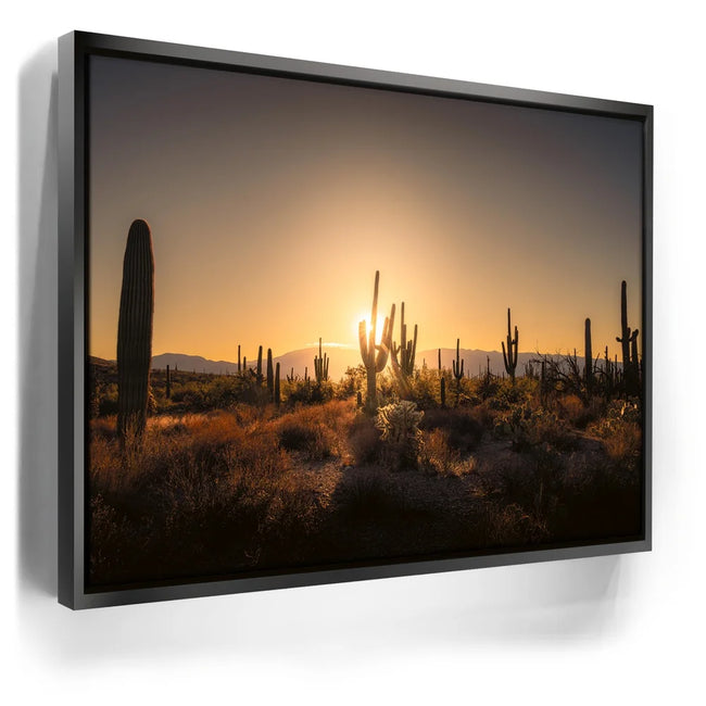 Featured image 5 for Saguaro Sunrise - Tucson, Arizona