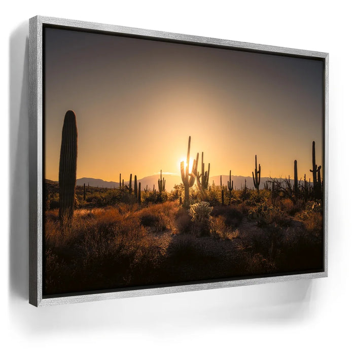 Featured image 8 for Saguaro Sunrise - Tucson, Arizona
