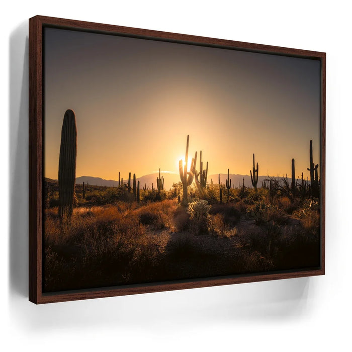 Featured image 10 for Saguaro Sunrise - Tucson, Arizona