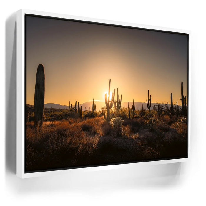 Featured image 6 for Saguaro Sunrise - Tucson, Arizona