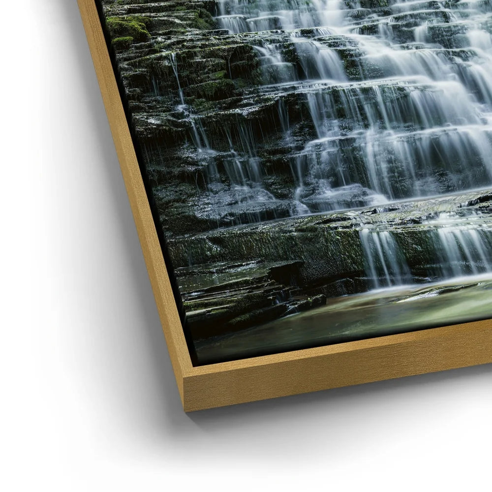 Featured image 12 for Salt Springs Falls