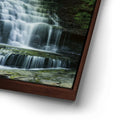 Thumbnail image 14 for Salt Springs Falls
