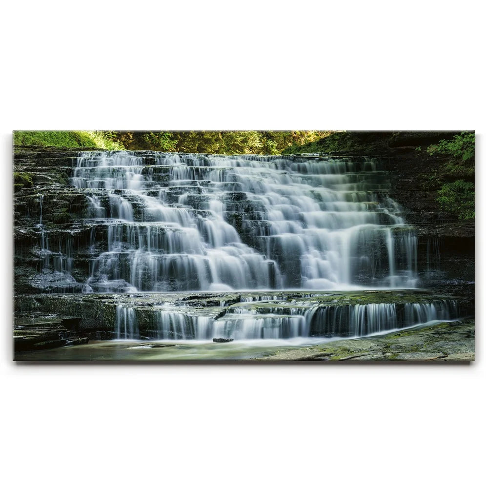 Featured image 1 for Salt Springs Falls