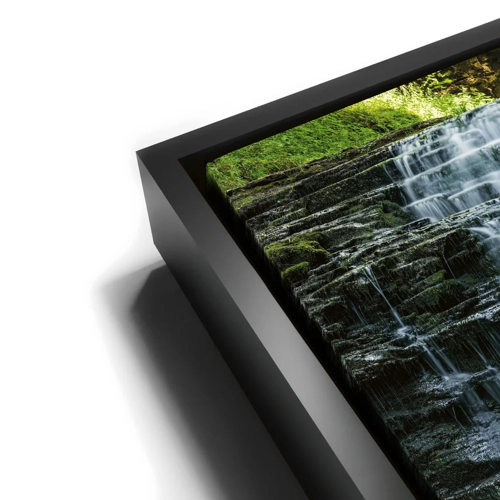 Featured image 11 for Salt Springs Falls