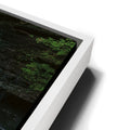 Thumbnail image 13 for Salt Springs Falls