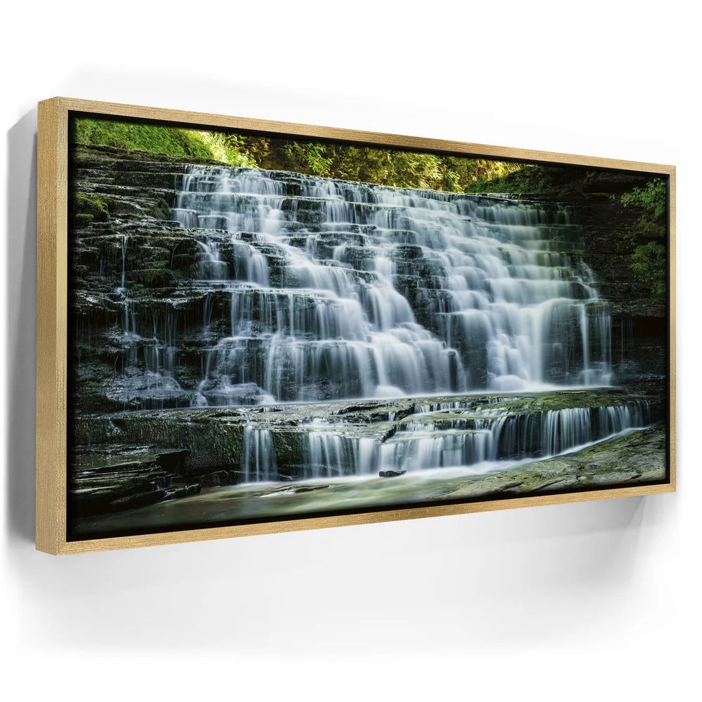 Featured image 7 for Salt Springs Falls
