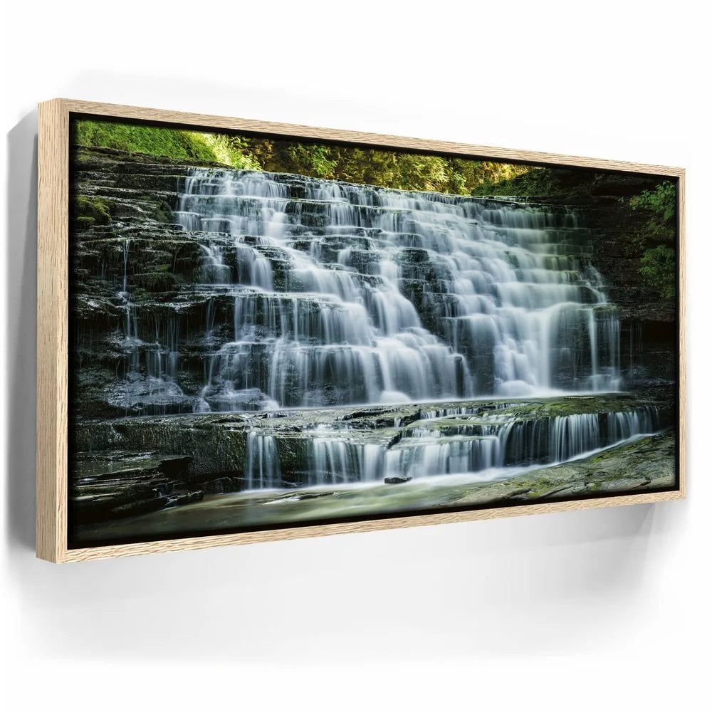 Featured image 9 for Salt Springs Falls