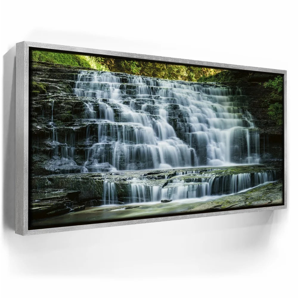 Featured image 8 for Salt Springs Falls