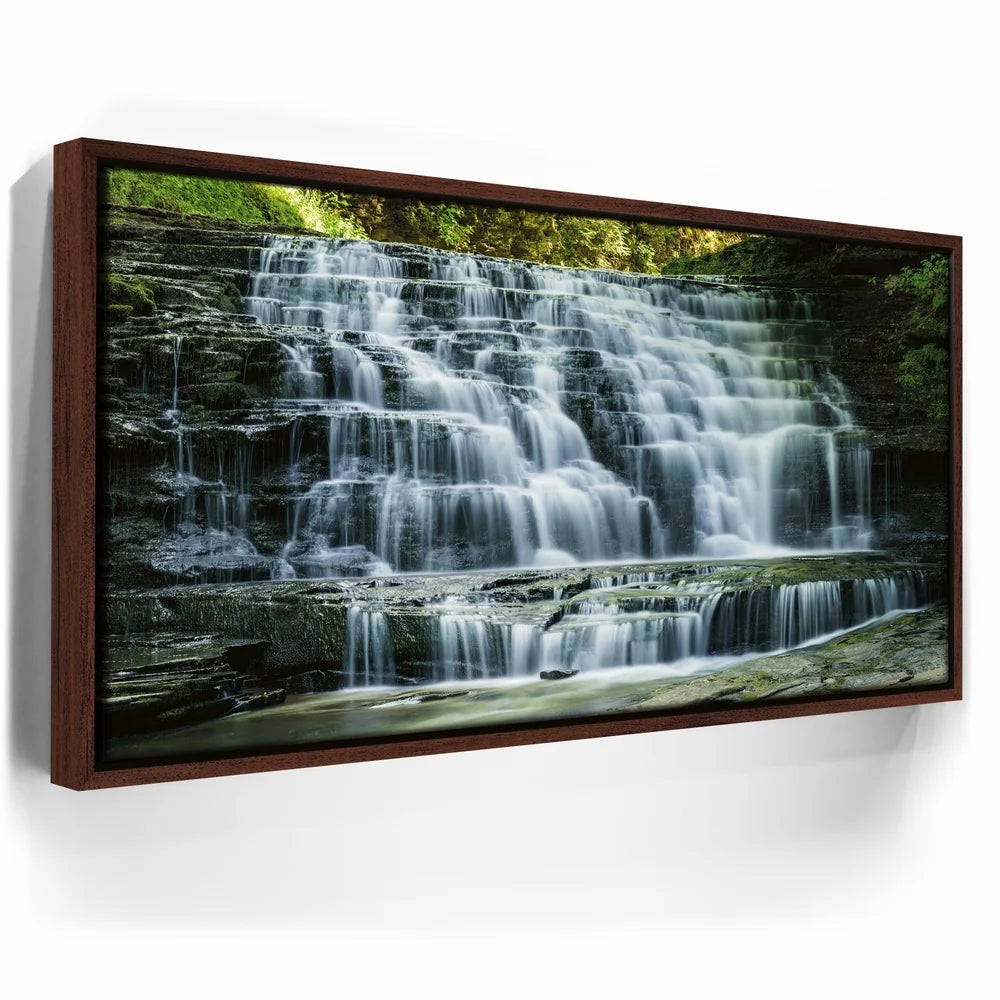 Featured image 10 for Salt Springs Falls