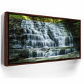 Featured image 10 for Salt Springs Falls