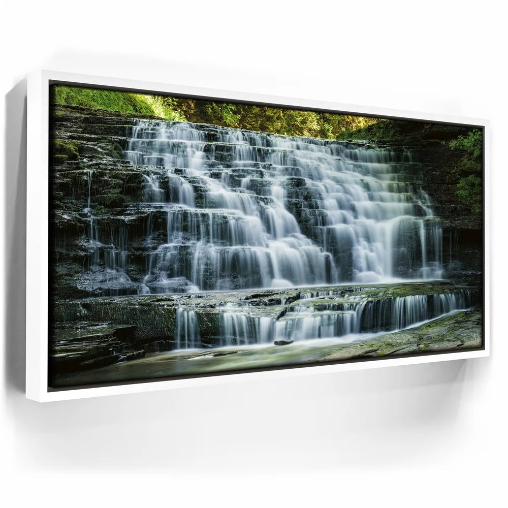 Featured image 6 for Salt Springs Falls