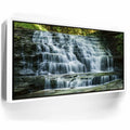 Featured image 6 for Salt Springs Falls