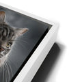 Thumbnail image 13 for Samurai Cat