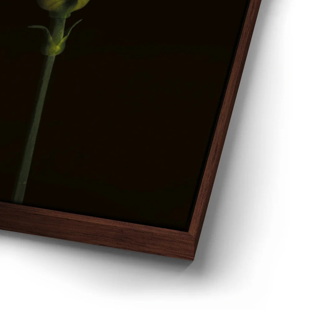 Featured image 14 for Scarlet Blooms
