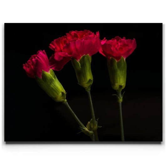 Scarlet Blooms
