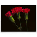 Featured image 1 for Scarlet Blooms