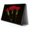 Thumbnail image 2 for Scarlet Blooms