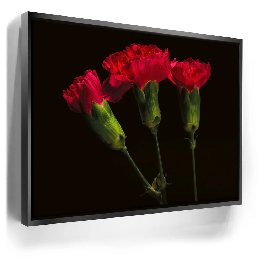 Featured image 5 for Scarlet Blooms