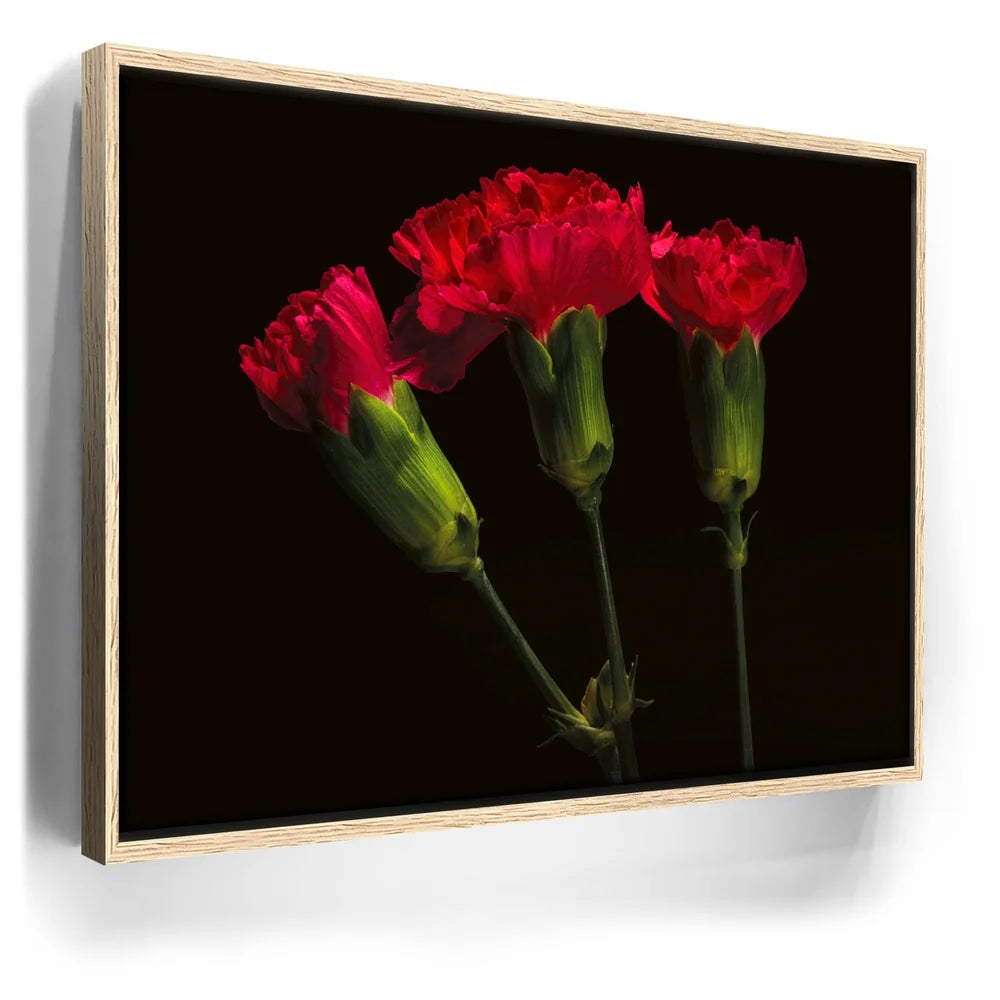 Featured image 9 for Scarlet Blooms