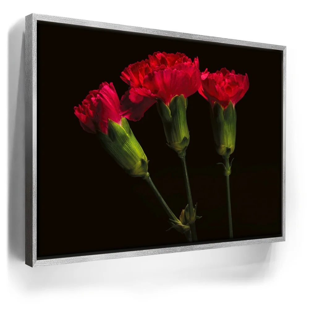 Featured image 8 for Scarlet Blooms