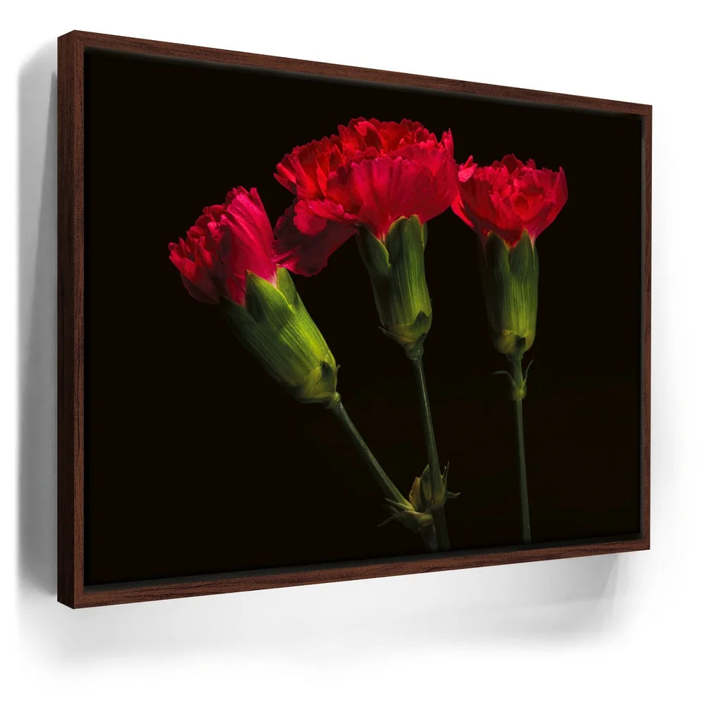 Featured image 10 for Scarlet Blooms