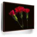 Featured image 10 for Scarlet Blooms