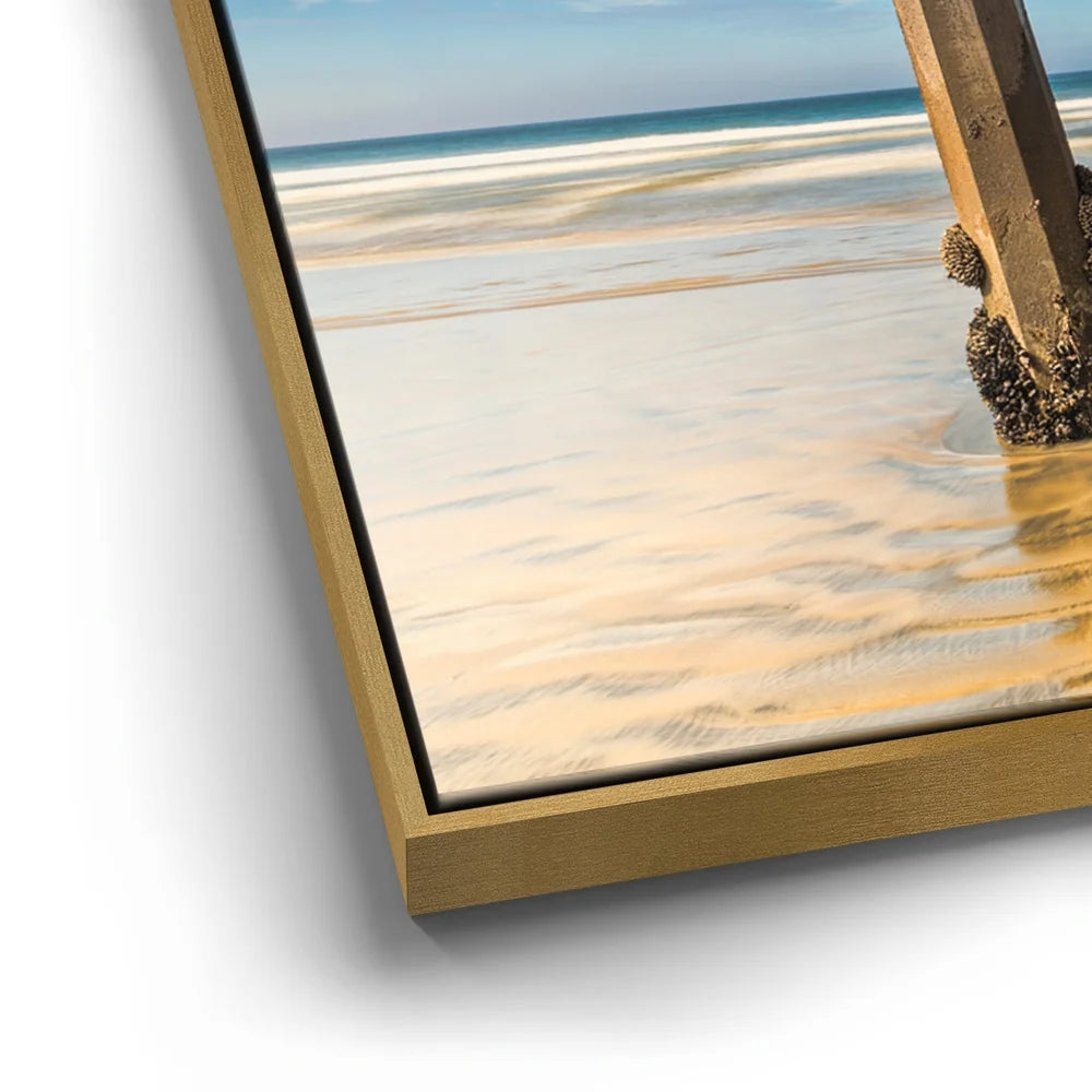 Featured image 12 for Scripps Pier, San Diego, California