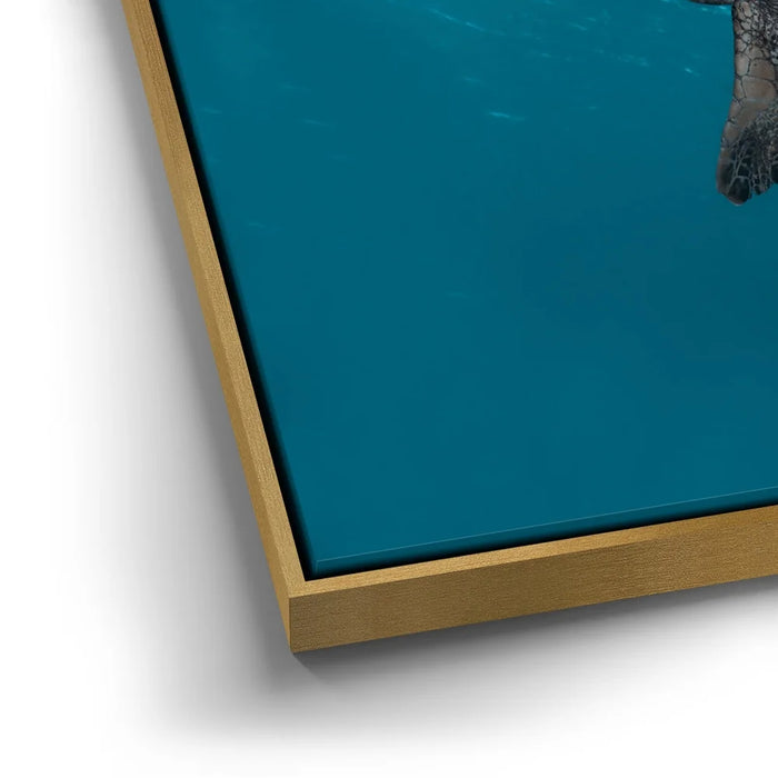 Featured image 12 for Sea Turtle In The Blue, Maui