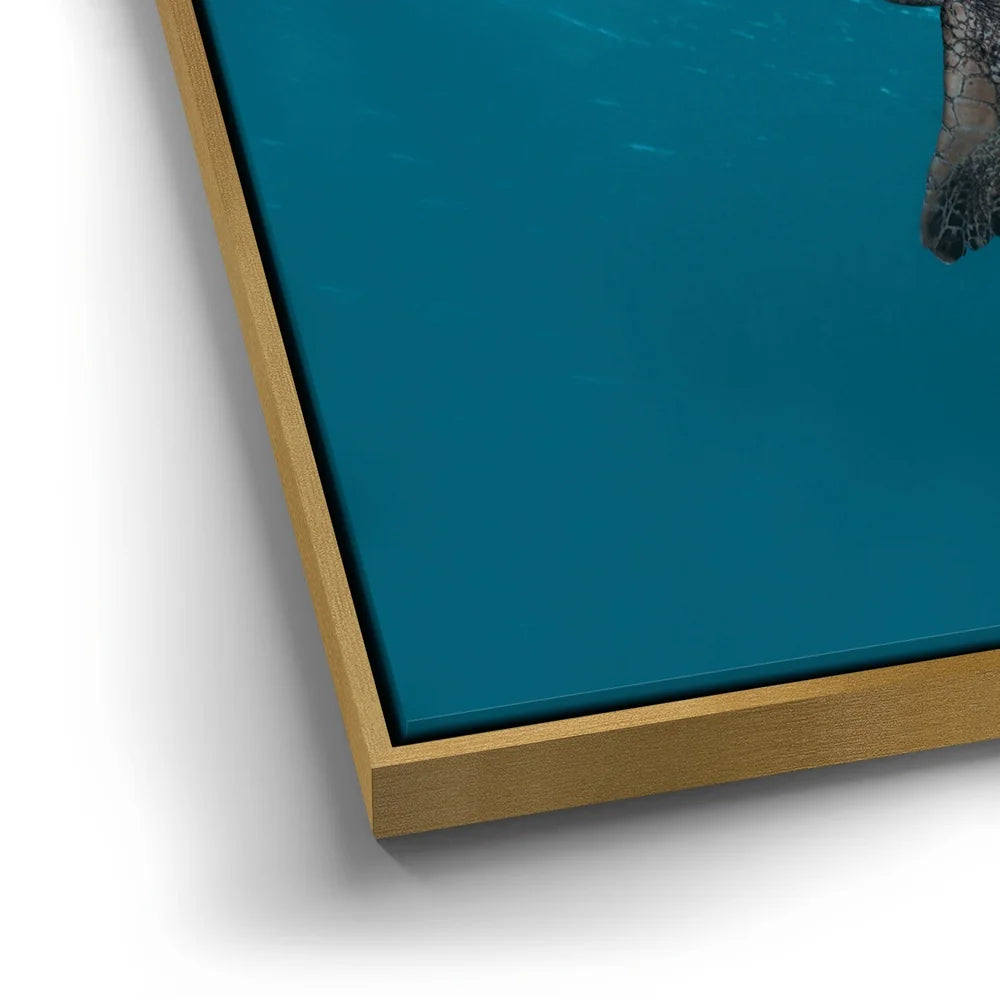 Featured image 12 for Sea Turtle In The Blue, Maui