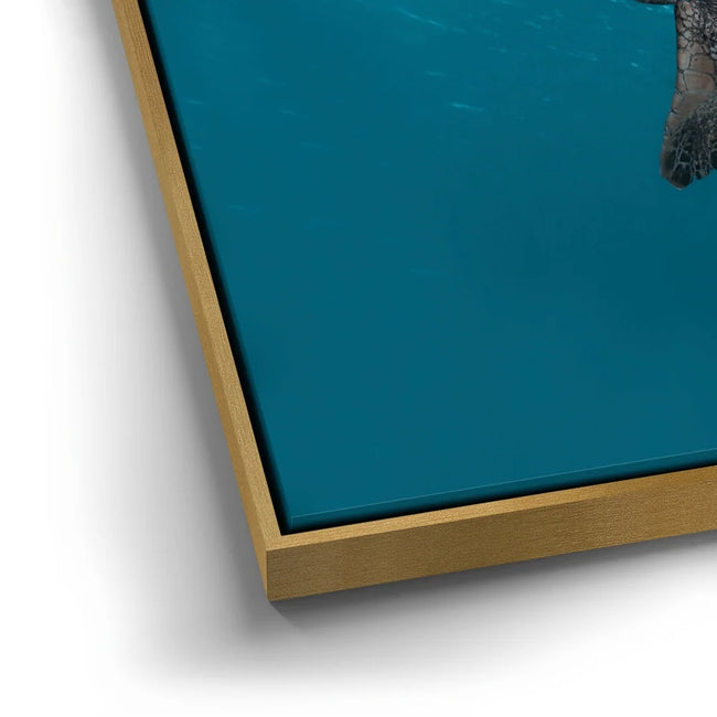 Featured image 12 for Sea Turtle In The Blue, Maui