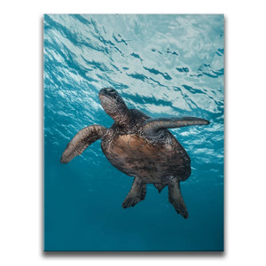 Sea Turtle In The Blue, Maui