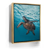 Featured image 7 for Sea Turtle In The Blue, Maui