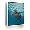 Featured image 6 for Sea Turtle In The Blue, Maui