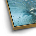 Thumbnail image 13 for Sea Lion Fam - La Ventana - Mexico