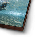 Thumbnail image 15 for Sea Lion Fam - La Ventana - Mexico