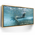 Featured image 8 for Sea Lion Fam - La Ventana - Mexico