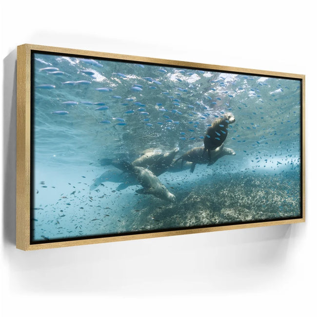Featured image 8 for Sea Lion Fam - La Ventana - Mexico