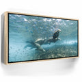Featured image 10 for Sea Lion Fam - La Ventana - Mexico