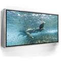 Featured image 9 for Sea Lion Fam - La Ventana - Mexico