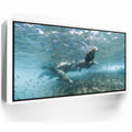 Featured image 7 for Sea Lion Fam - La Ventana - Mexico