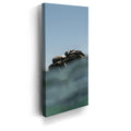 Thumbnail image 3 for Sea Lions in the Sun - La Ventana - Mexico