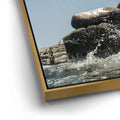 Thumbnail image 13 for Sea Lions Splash - La Ventana - Mexico