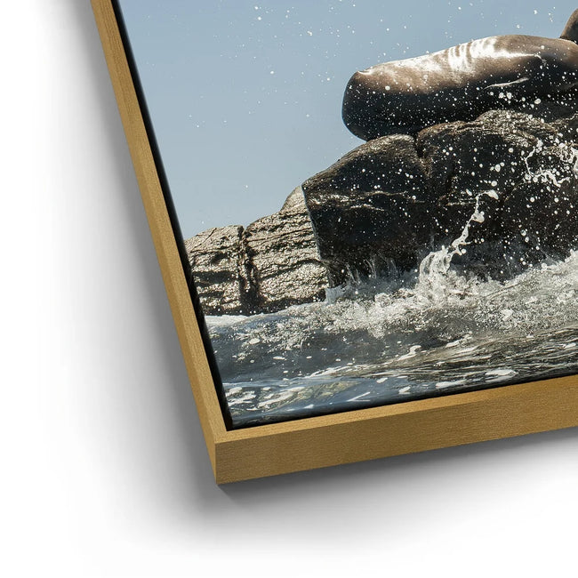Featured image 13 for Sea Lions Splash - La Ventana - Mexico