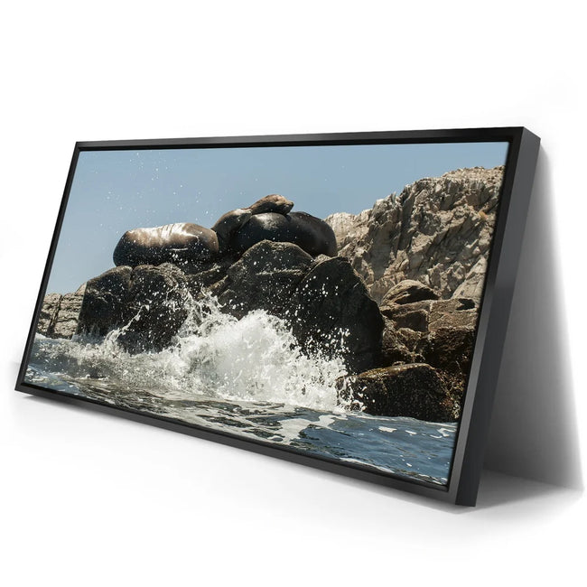Featured image 2 for Sea Lions Splash - La Ventana - Mexico