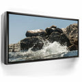 Featured image 6 for Sea Lions Splash - La Ventana - Mexico