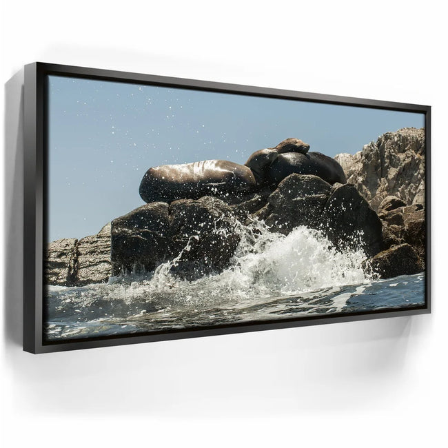 Featured image 6 for Sea Lions Splash - La Ventana - Mexico